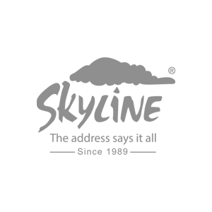 skyline